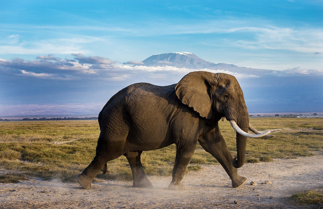 Best- safari -destination- in -East -Africa