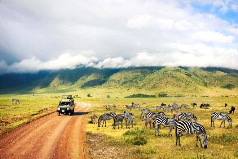Best- routes- for -a -Tanzania -road -trip -safari