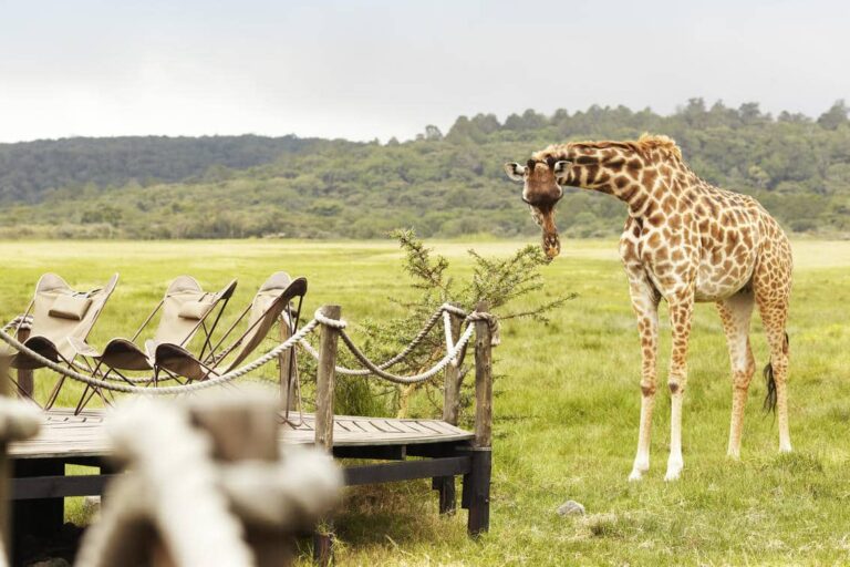 Best- safari -for-adventure- seekers- in -Tanzania