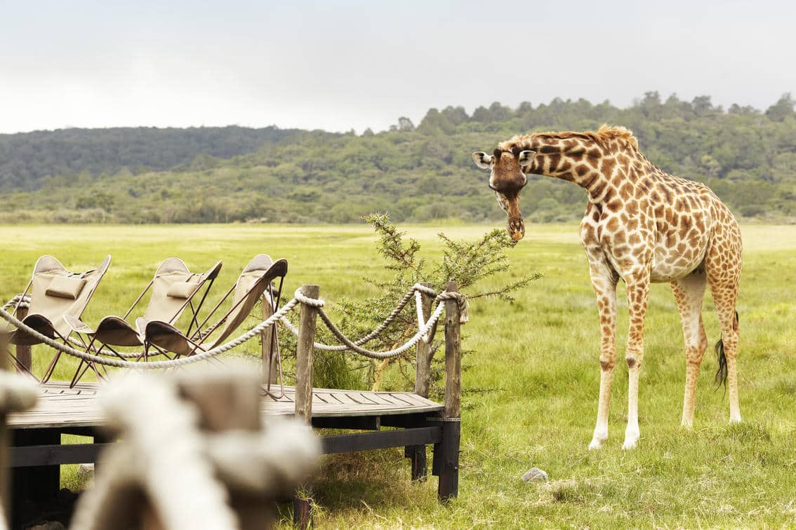 Best- safari -for-adventure- seekers- in -Tanzania