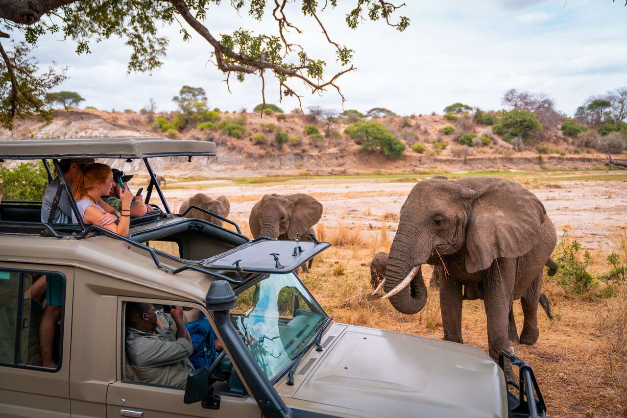 Best-routes-for- a -self-drive -Tanzania -safari-