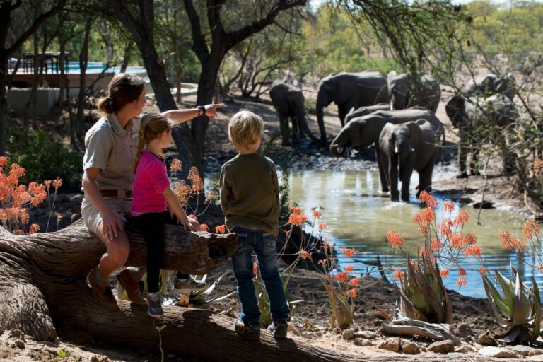Best- safari -lodges- for -kids -during-the -migration