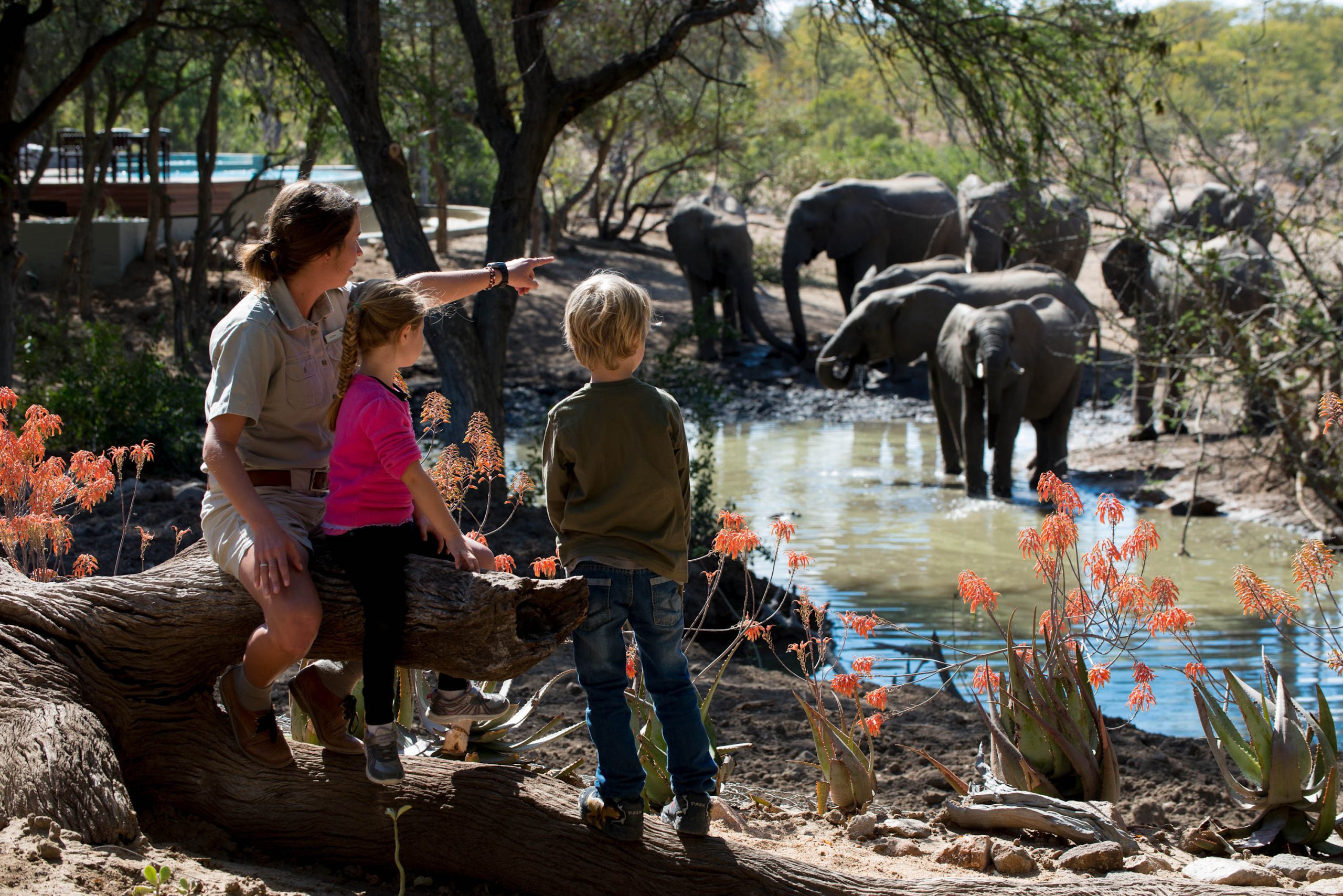 Best- safari -lodges- for -kids -during-the -migration