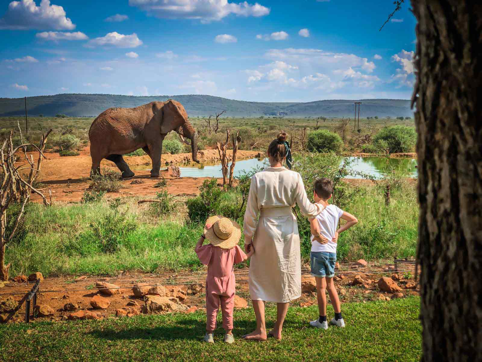 Best safari lodges for families in Tanzania