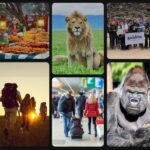 African Safari Guide