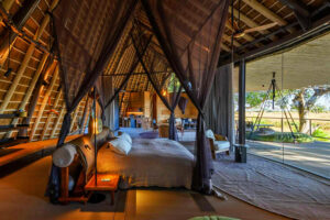 Botswana African Safari