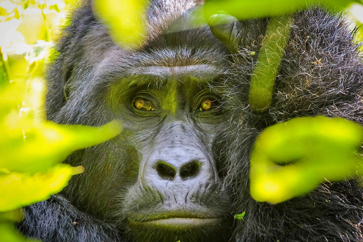 Rwanda