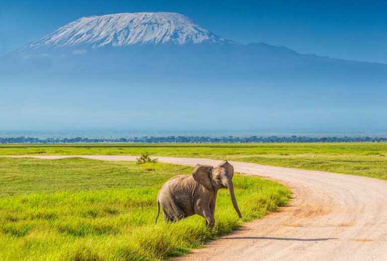 Kenya