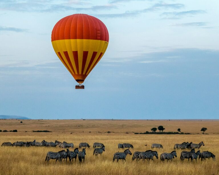 Best -safari -after -climbing- Mount -Kilimanjaro