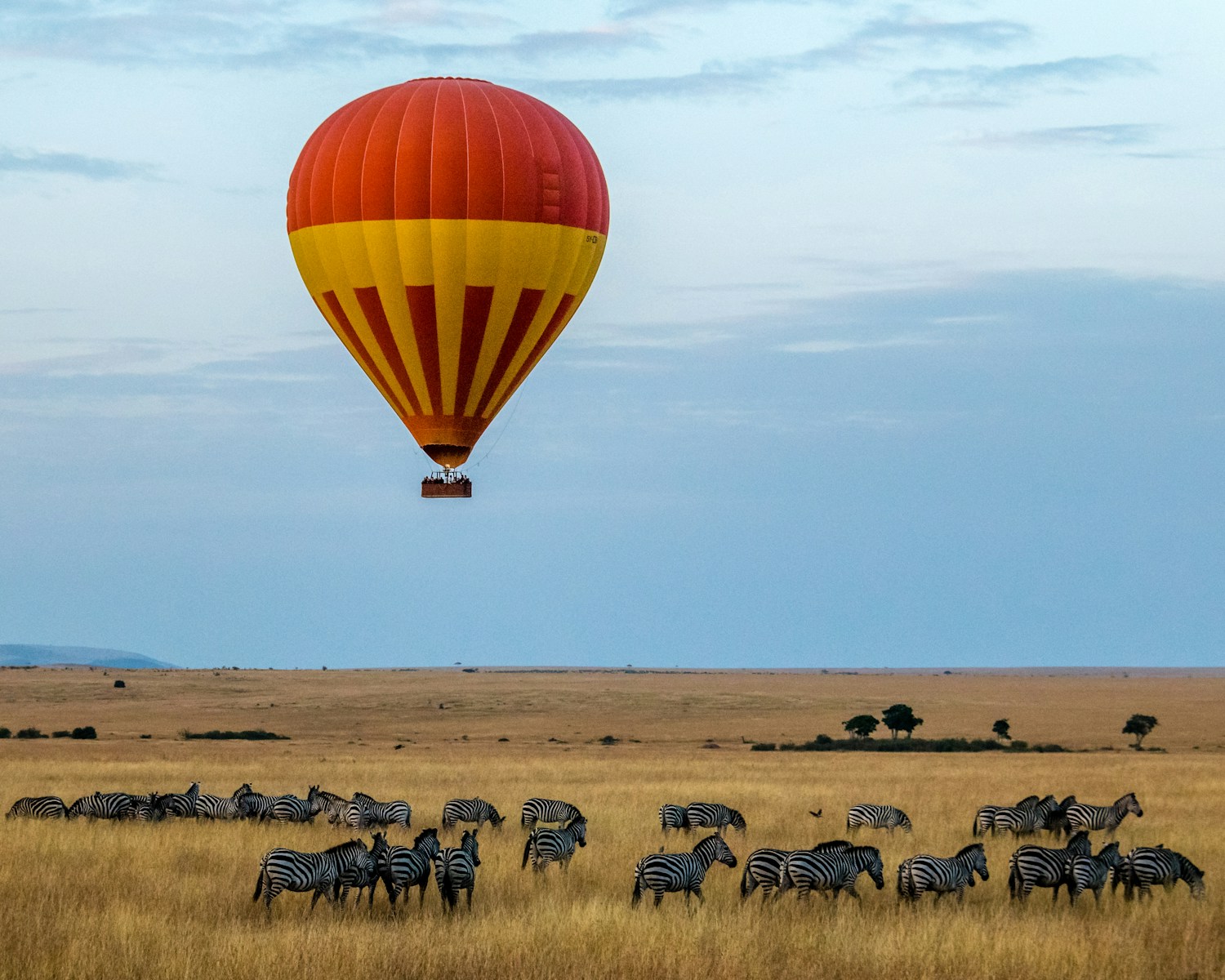 Best -safari -after -climbing- Mount -Kilimanjaro